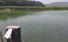  水產(chǎn)養(yǎng)殖水質(zhì)檢測(cè)標(biāo)準(zhǔn)，這五個(gè)方面讓水質(zhì)恢復(fù)清新